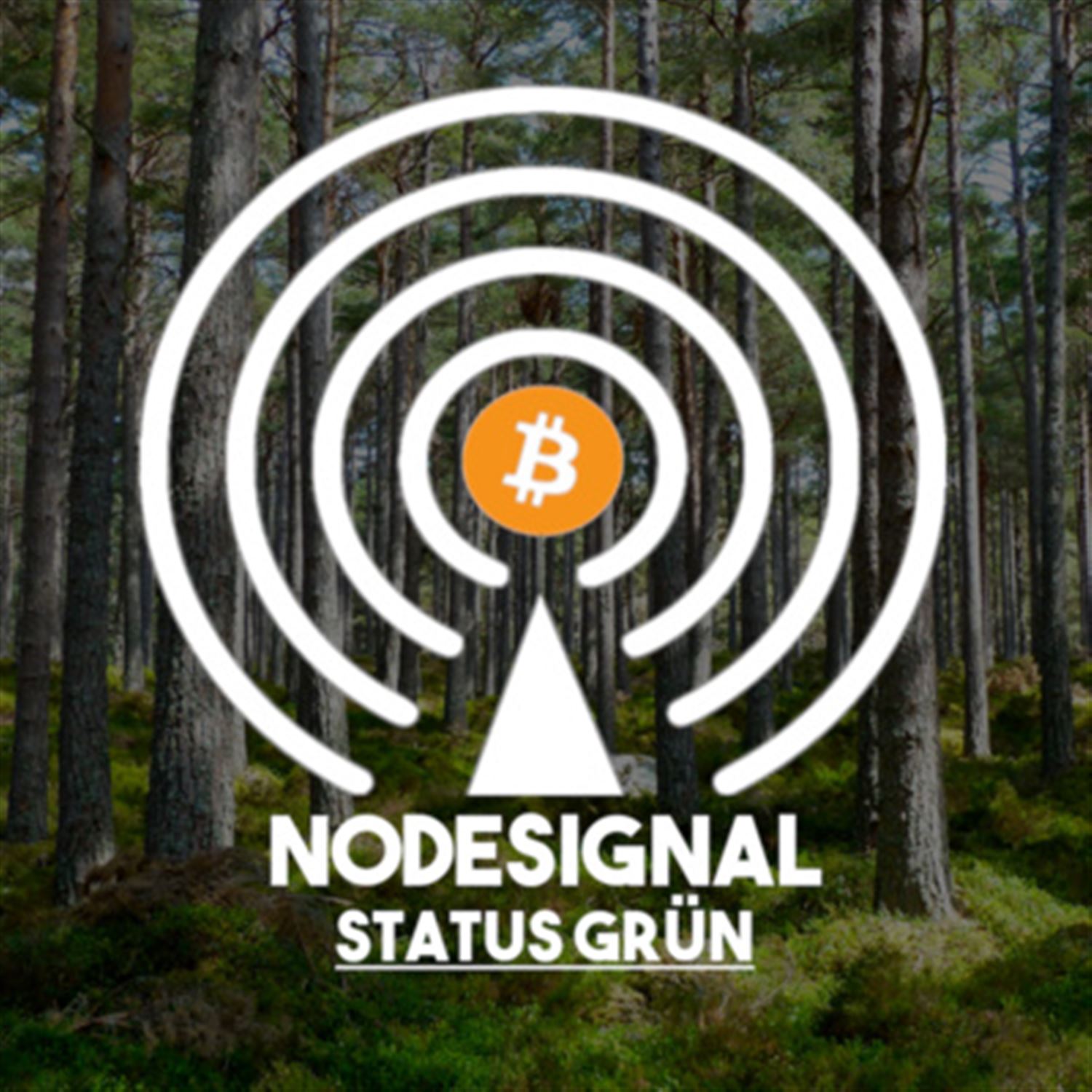 Nodesignal-Status Grün - E06 - Lyn Alden über Bitcoin und Energie