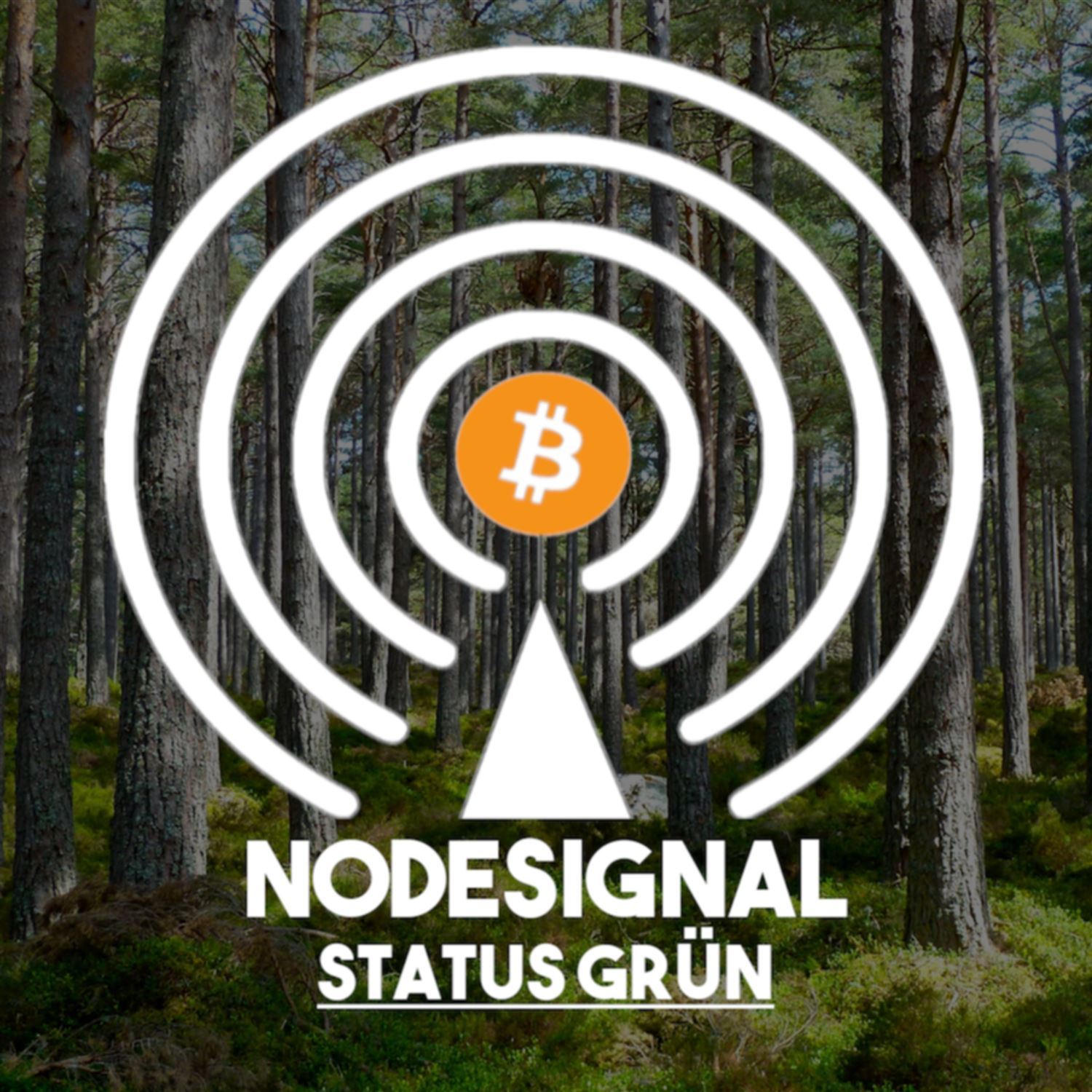 Nodesignal-Status Grün - E04 - Bitcoin ist sozial