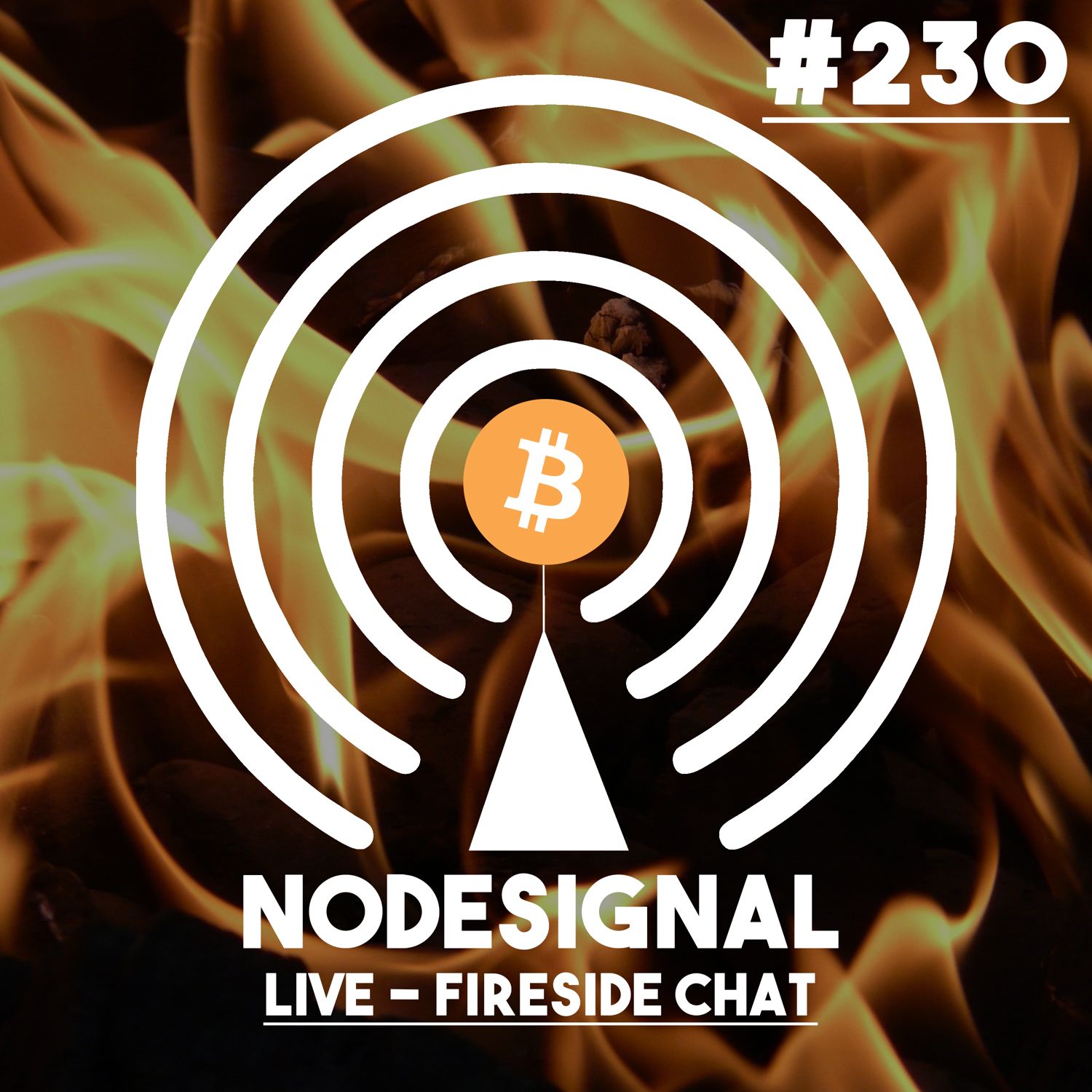 Nodesignal-Spezial - E230 - Fireside Chat