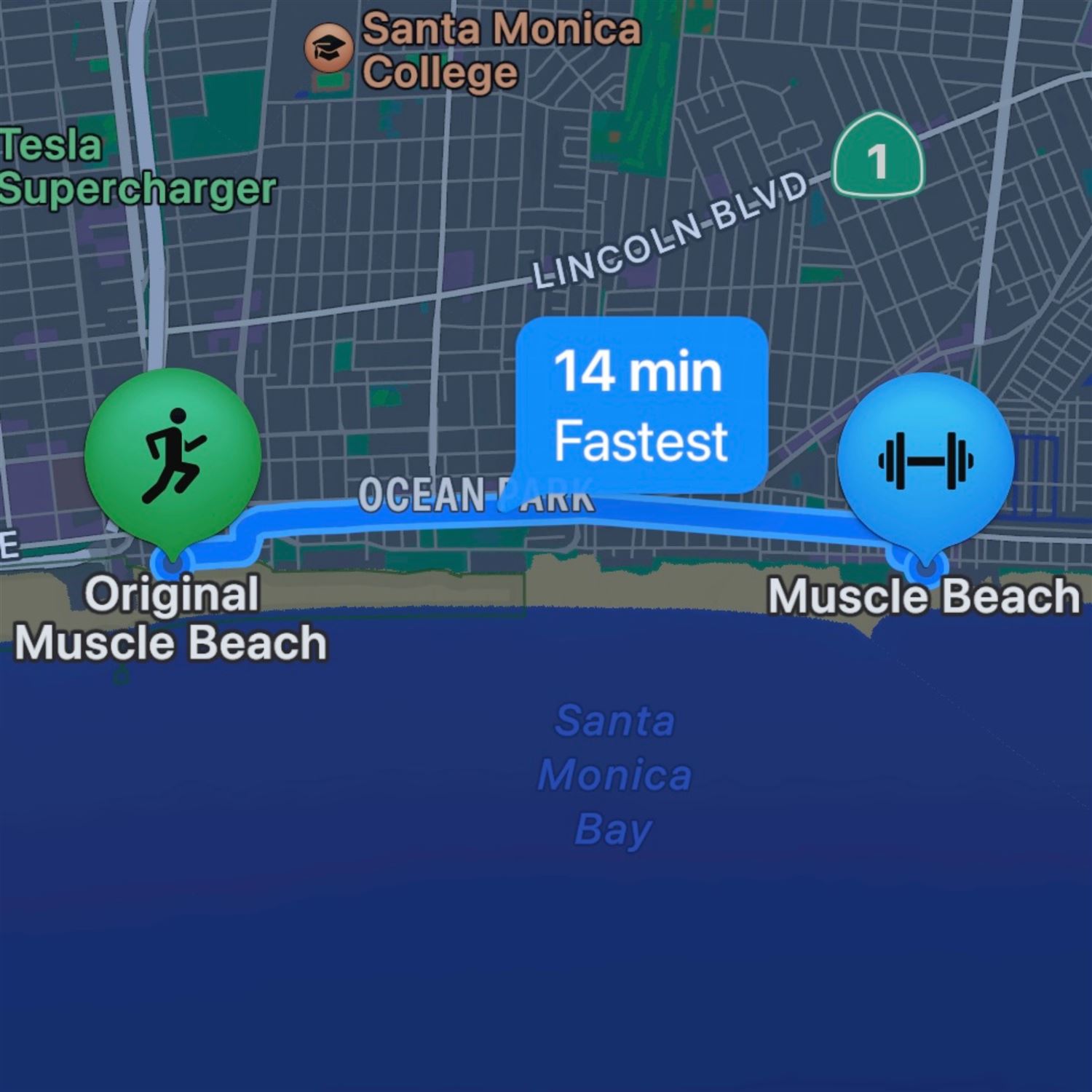 Original Muscle Beach