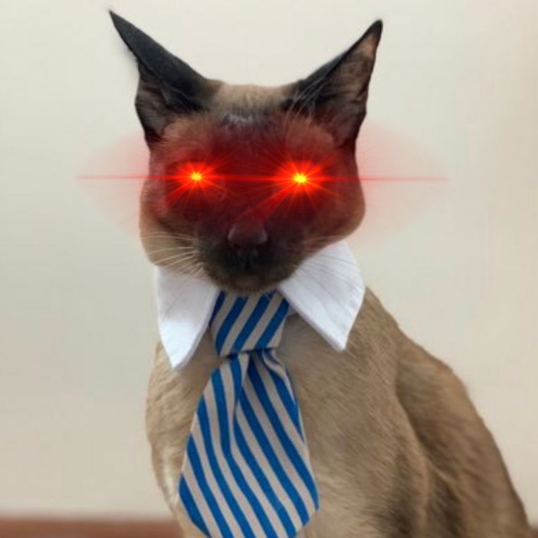 Business Cat