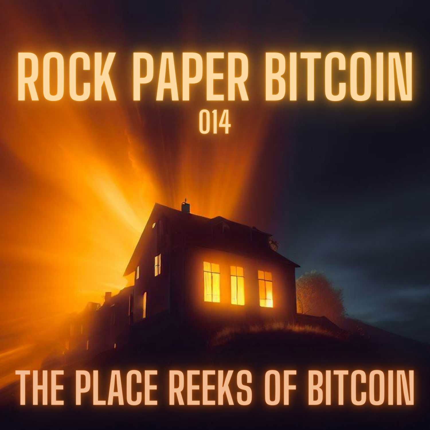 RPB014 - The Place Reeks of Bitcoin Artwork