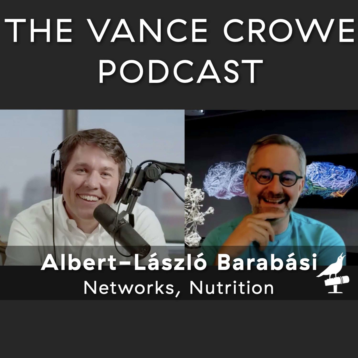 #272 | Albert-László Barabási; How ideas spread into society, Nutritional dark matter, Networks