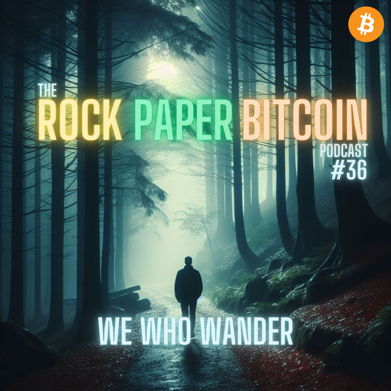 RPB036 - We Who Wander Artwork