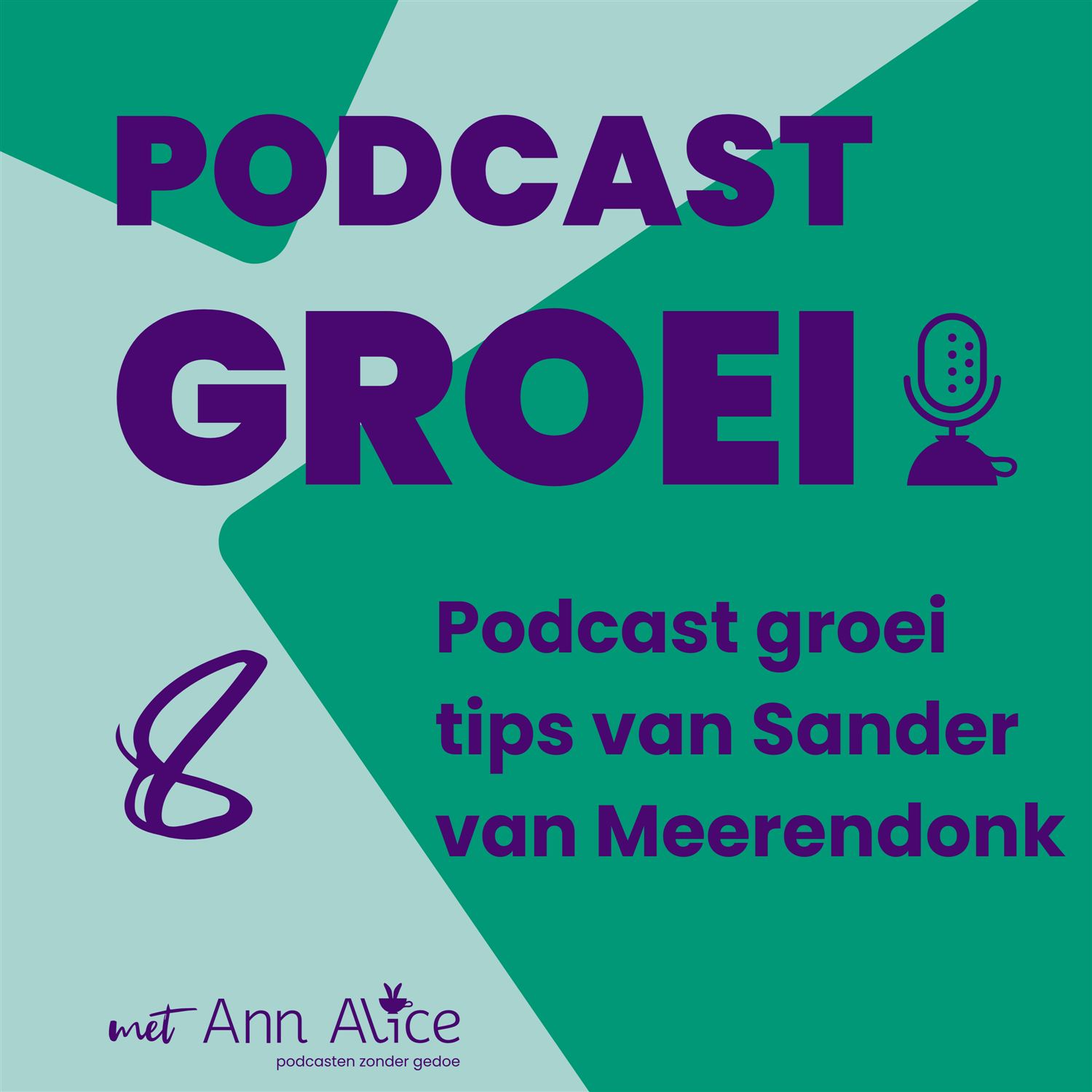 8. Podcast groei tips van Sander van Meerendonk