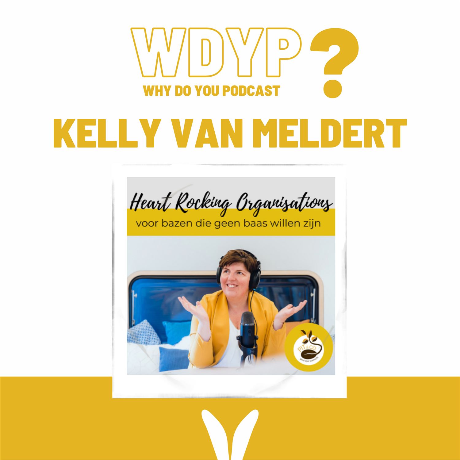 Why Do You Podcast?