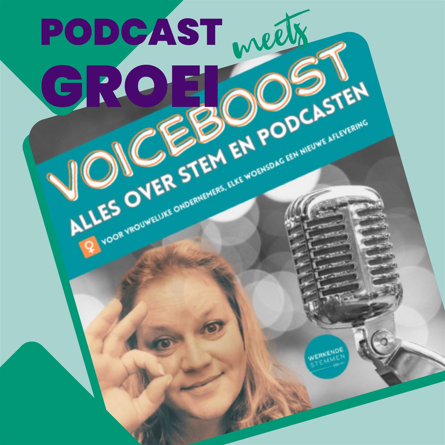 Bonus - Geef je VOICE een BOOST met je podcast