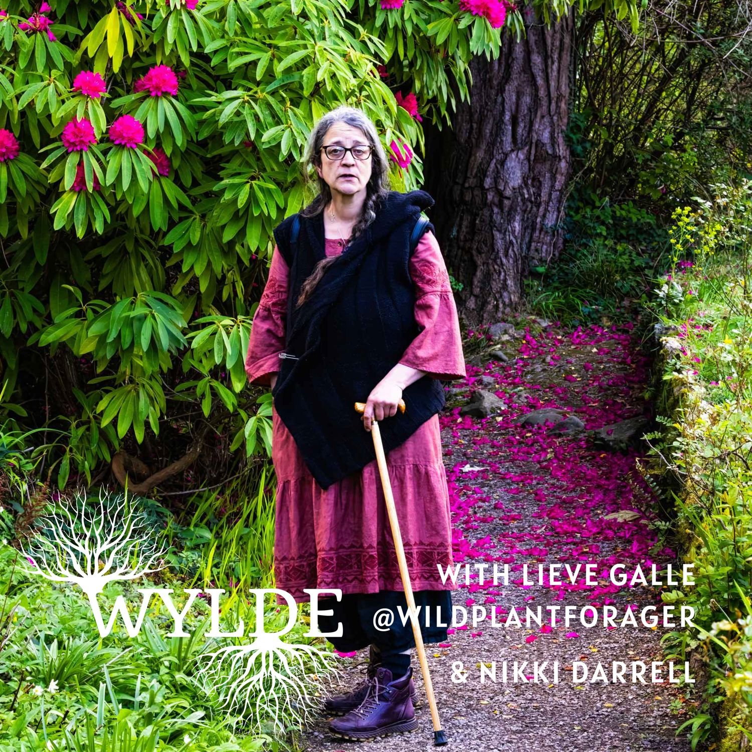 #12 Herbalism in Ireland with Nikki Darrell
