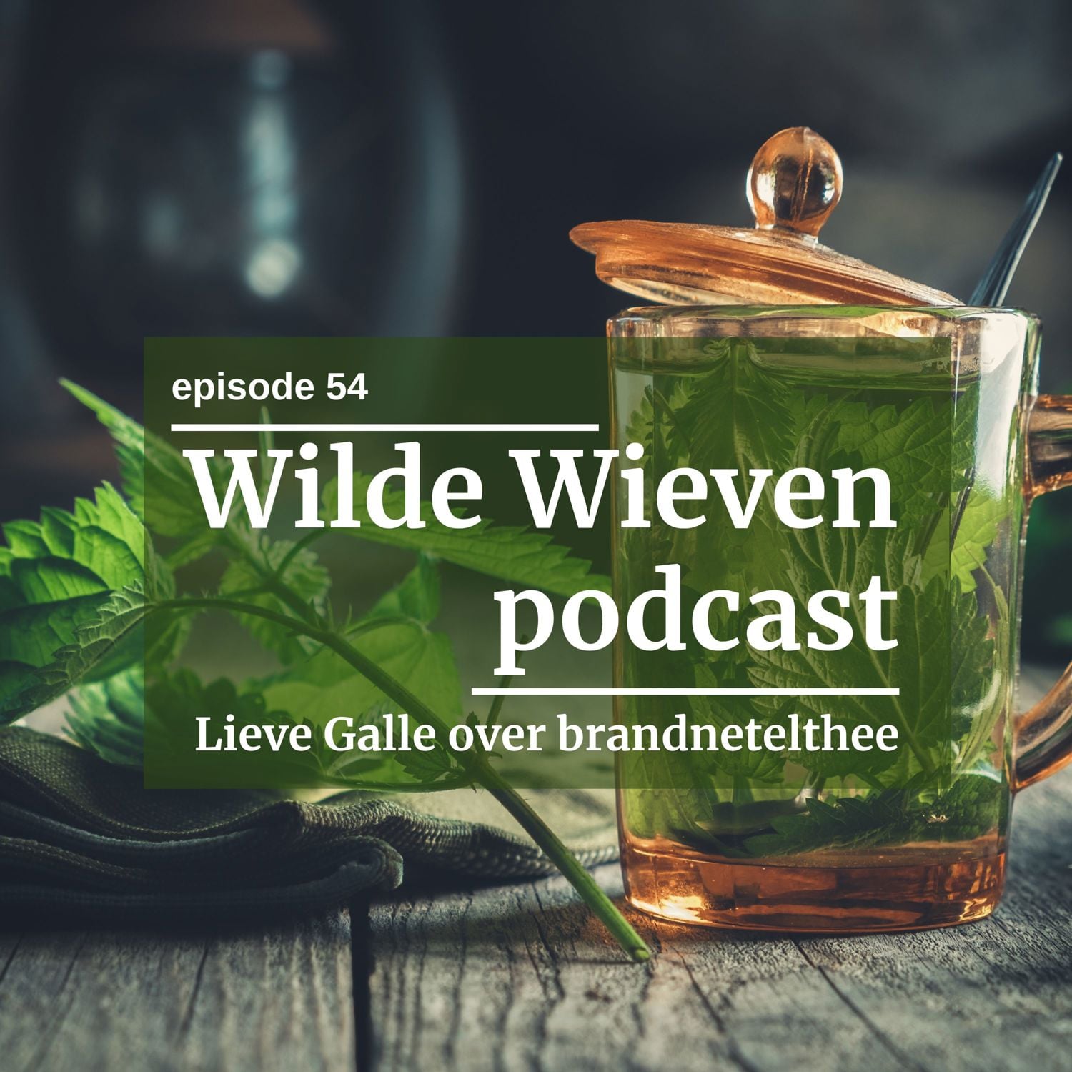 #54 Brandnetelthee: gezond én lekker