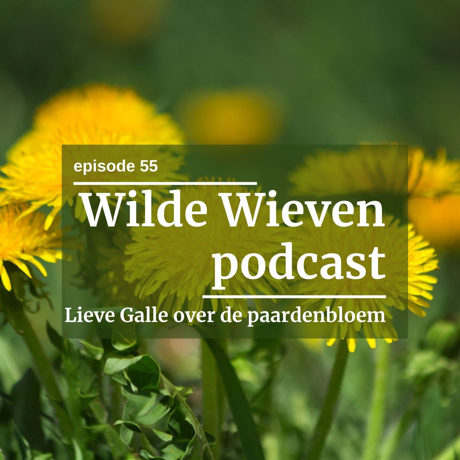 #55 De paardenbloem: 3 krachtige detox drankjes uit 1 plant #55 De paardenbloem: 3 krachtige detox drankjes uit 1 plant