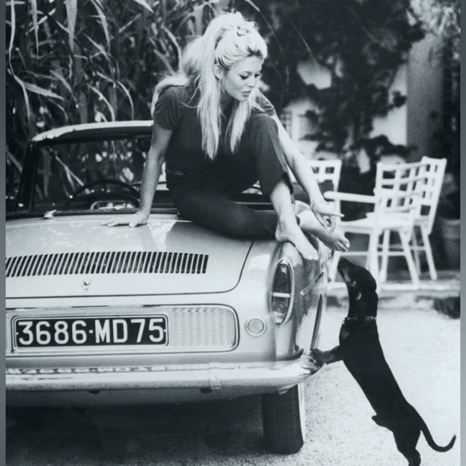 Katherines Wheel by Longy