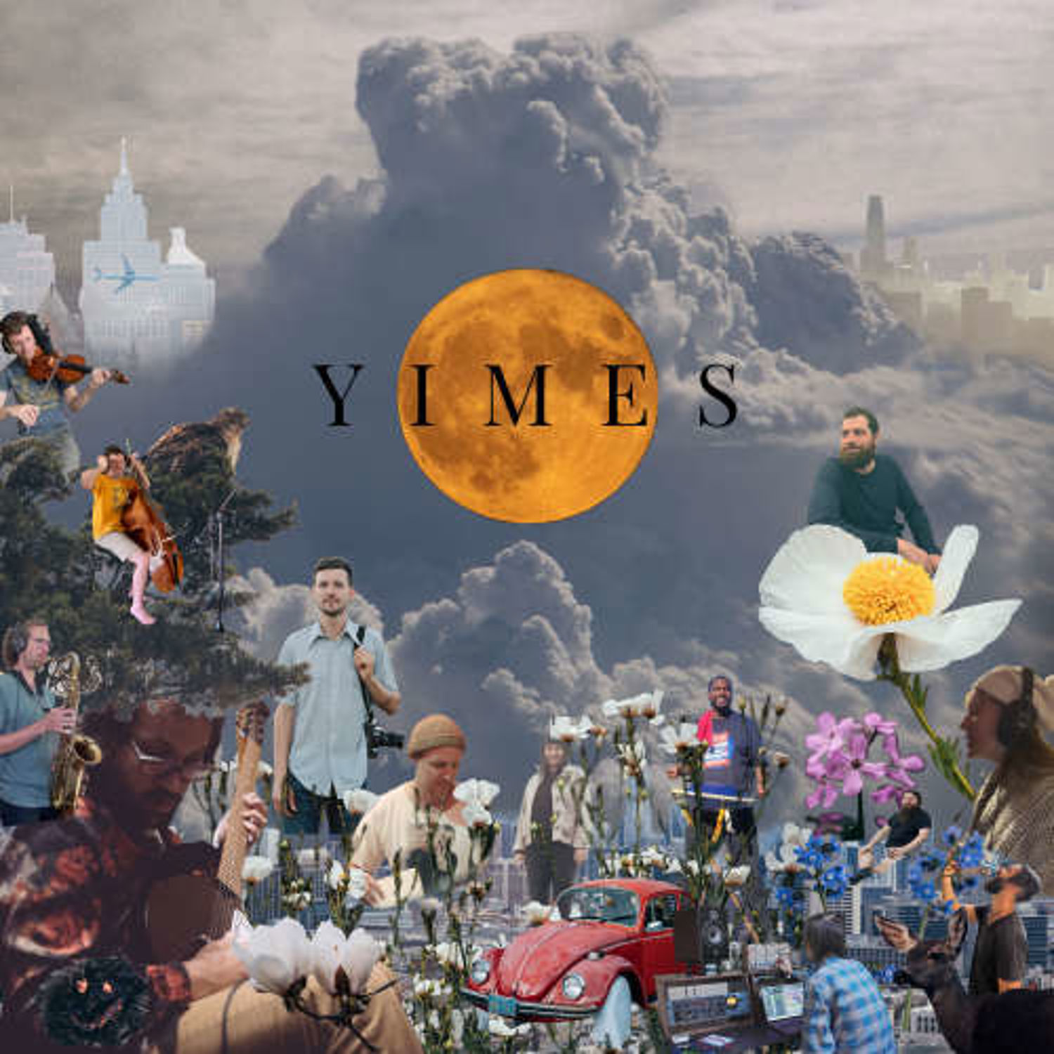 Sandhill Cranes by Yimes