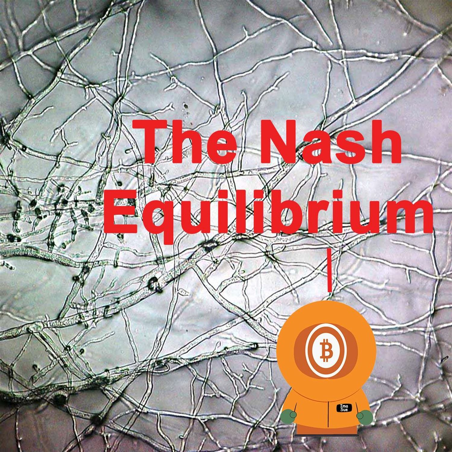 The Nash Equilibrium