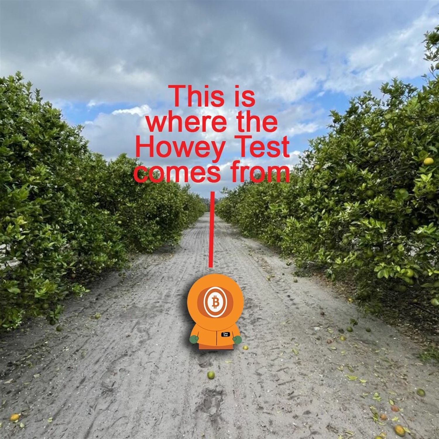The Howey Test Ep702