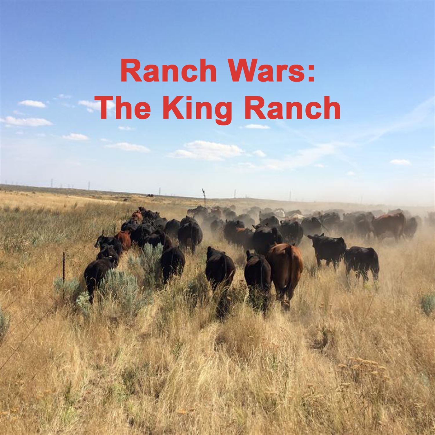 Ranch Wars: The King Ranch