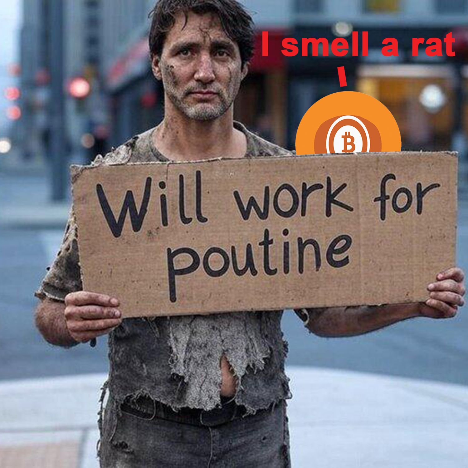 Will Work For Poutine