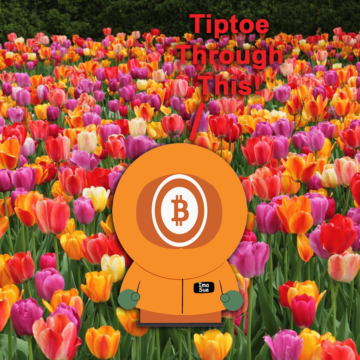 The Tulip Narrative The Tulip Narrative