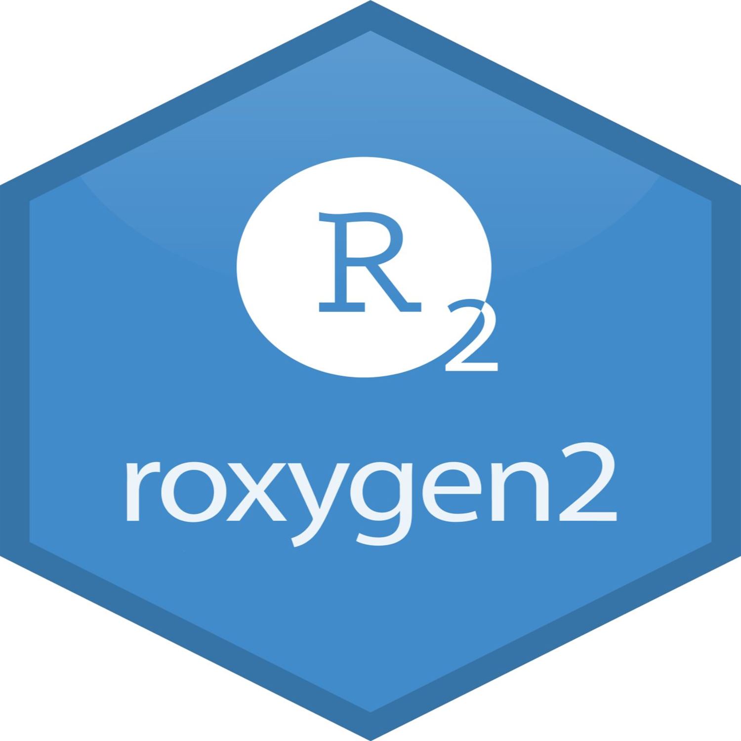 Custom roxygen2 tags