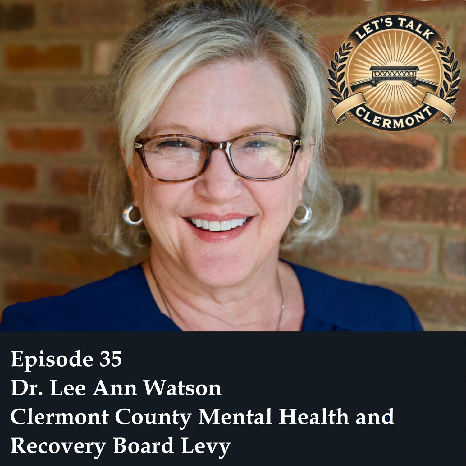 Episode 35 - Dr. Lee Ann Watson - Mental Health and Recovery Board Levy