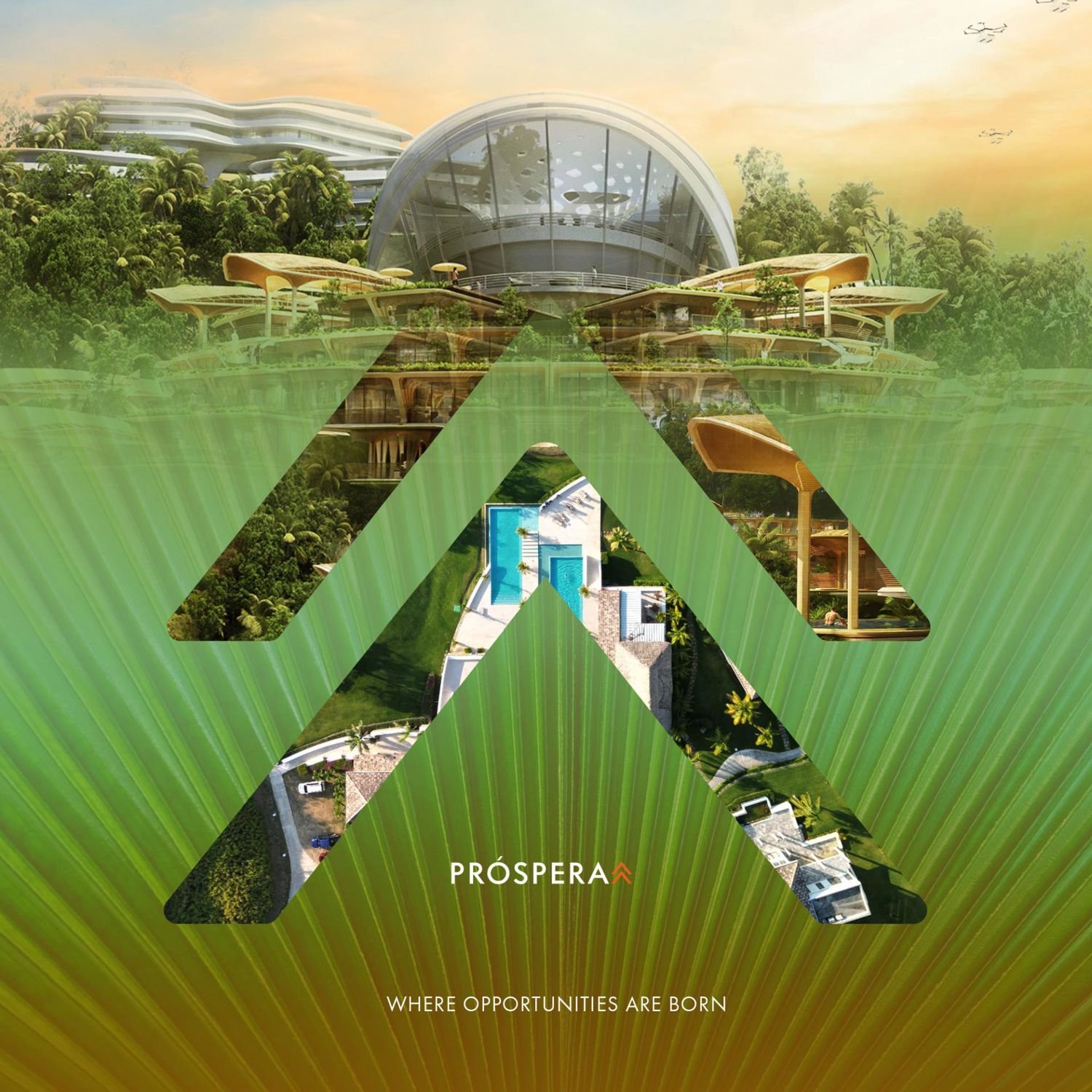 Bitcoin District Prospera na Roatánie: Minipaństwo dla Bitcoinerów?