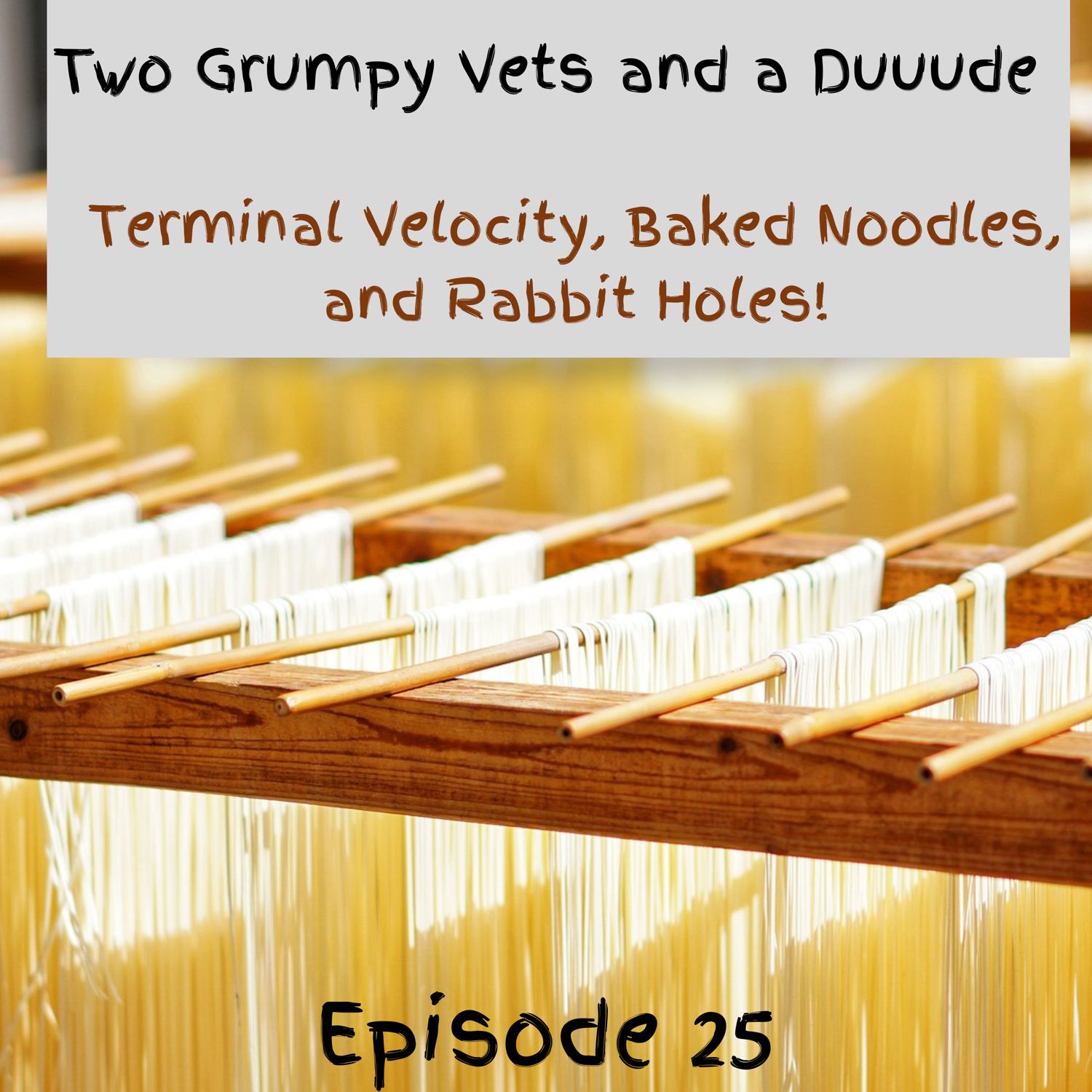 Terminal Velocity, Baked Noodles and Rabbit Holes