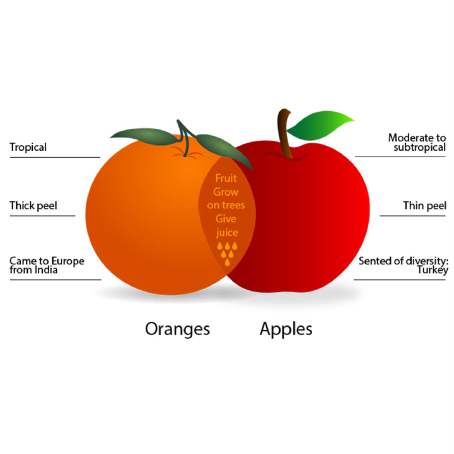 Intersubjectivity: apples & oranges