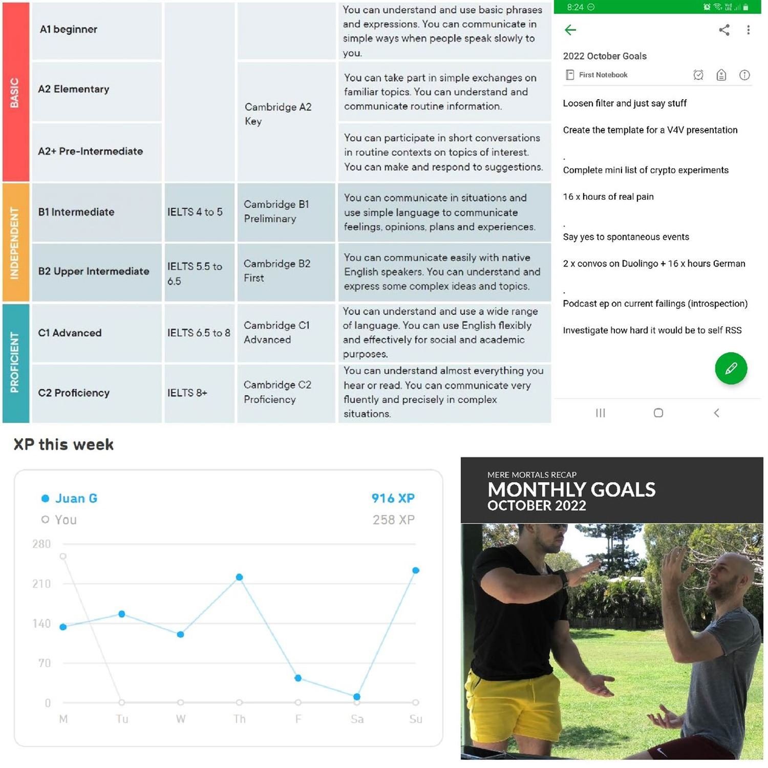 Determining your proficiency level and where we struggle