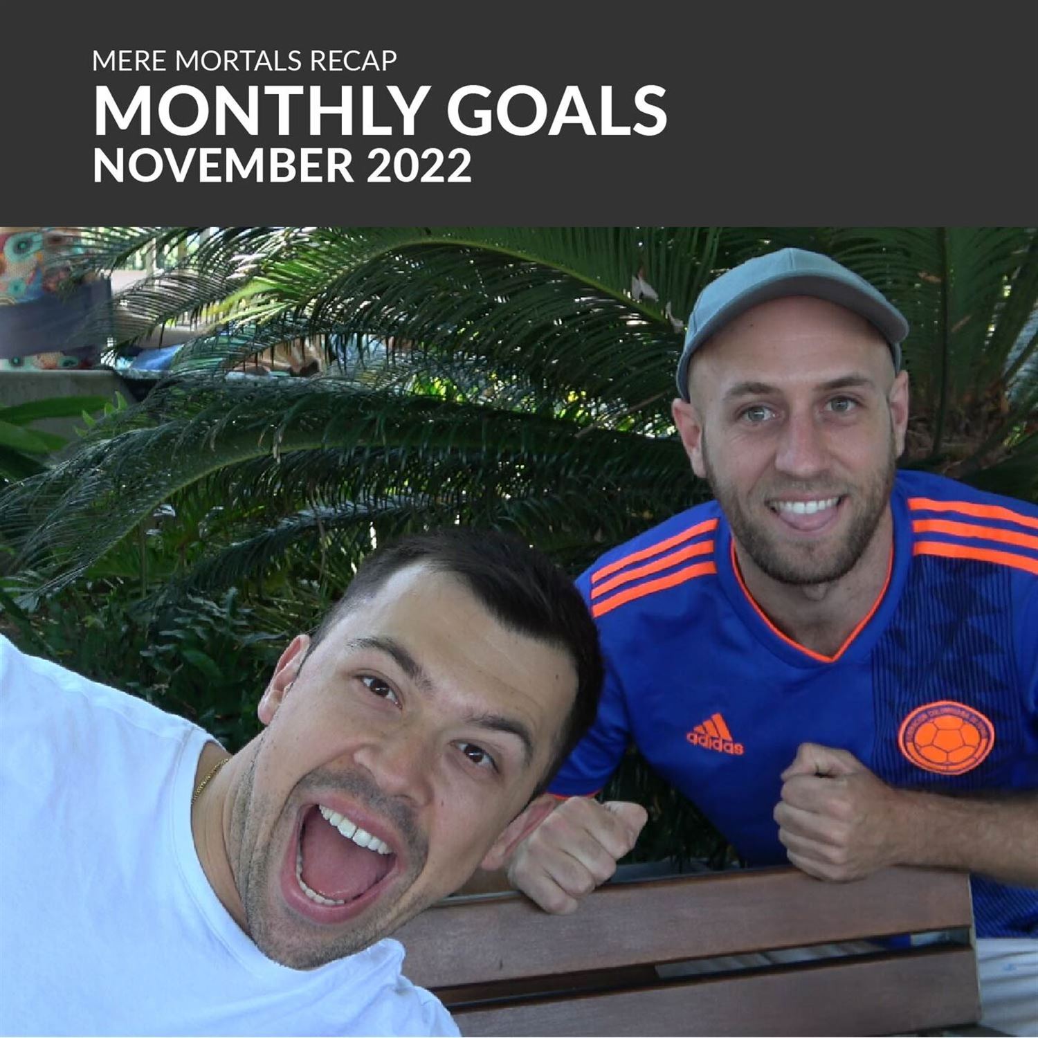 Monthly Goals - November 2022