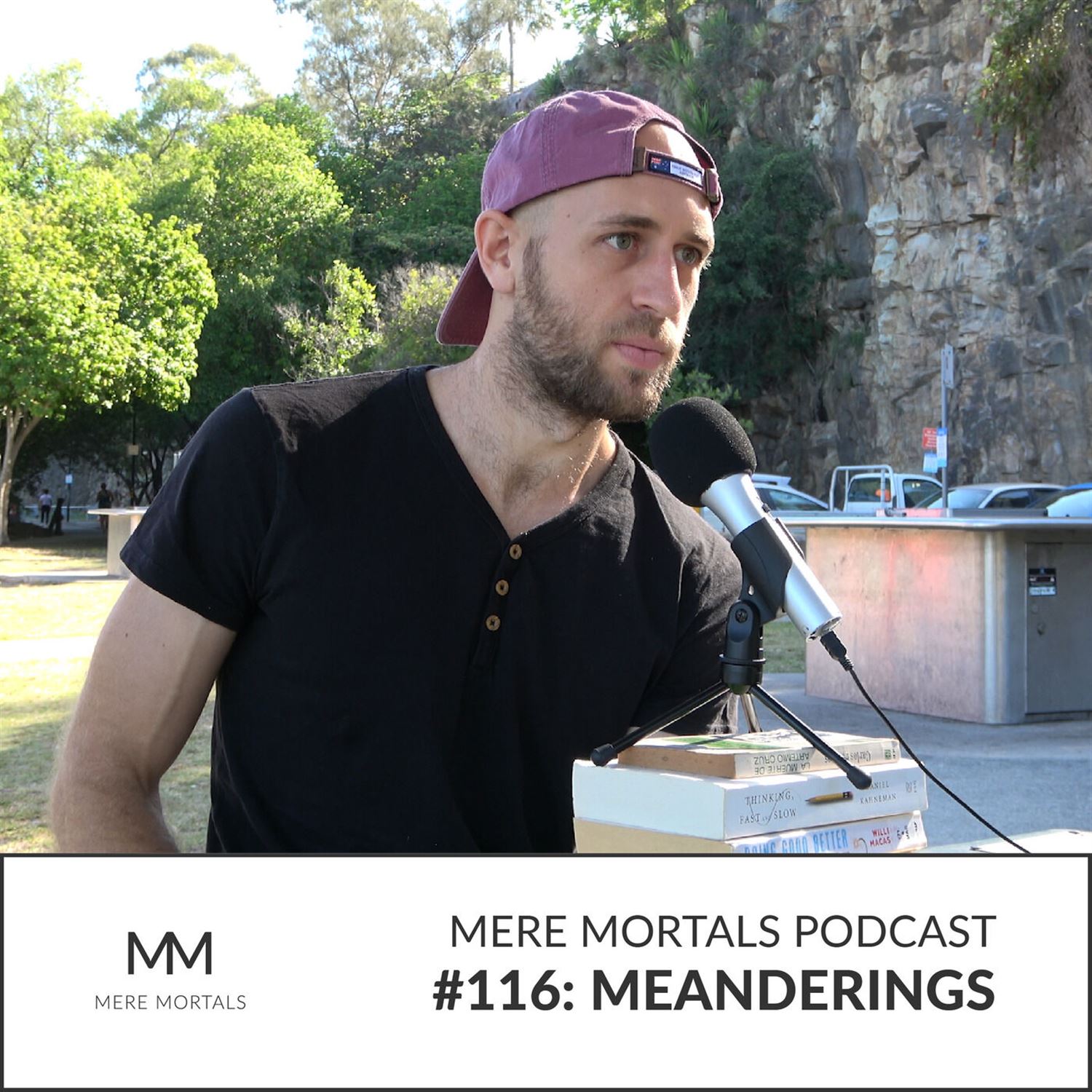 Consciousness & Virtual Reality (Episode #116 - Meanderings)