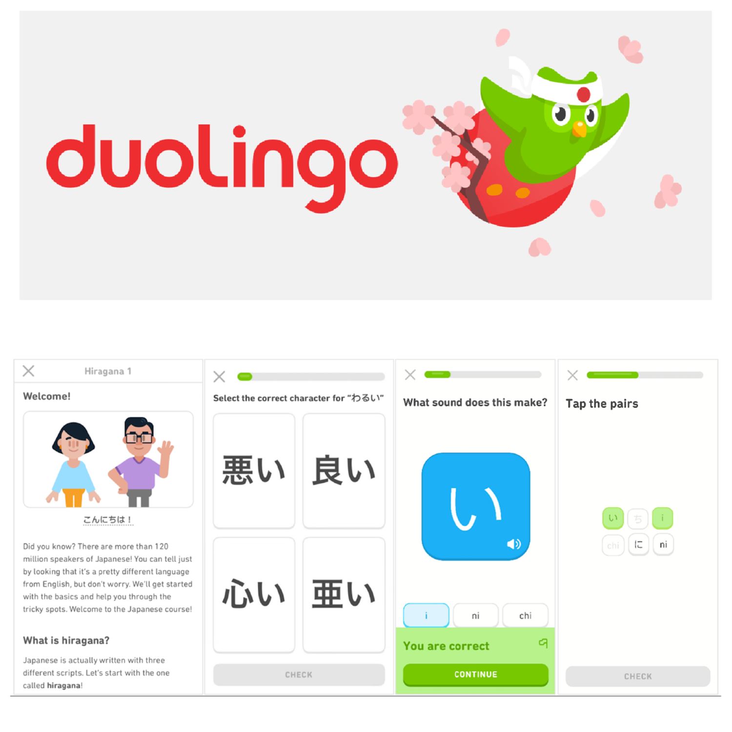 Japanese Duolingo