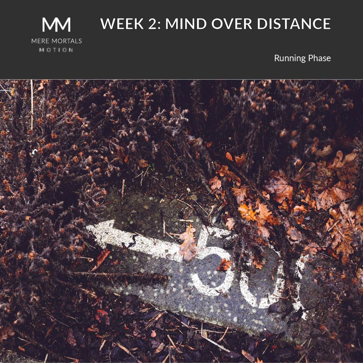 Week 2 Run Down: Mind Over Distance & Sneaker Secrets | Mere Mortals in Motion #3