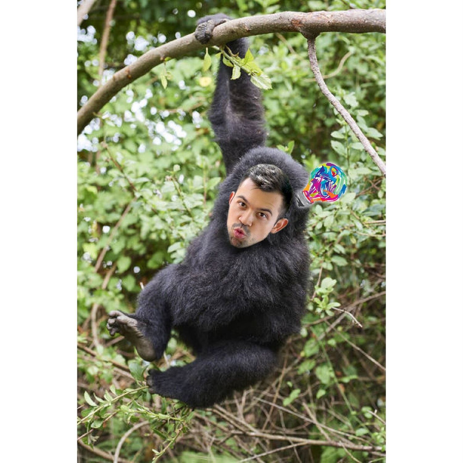 Juan the creative monkey