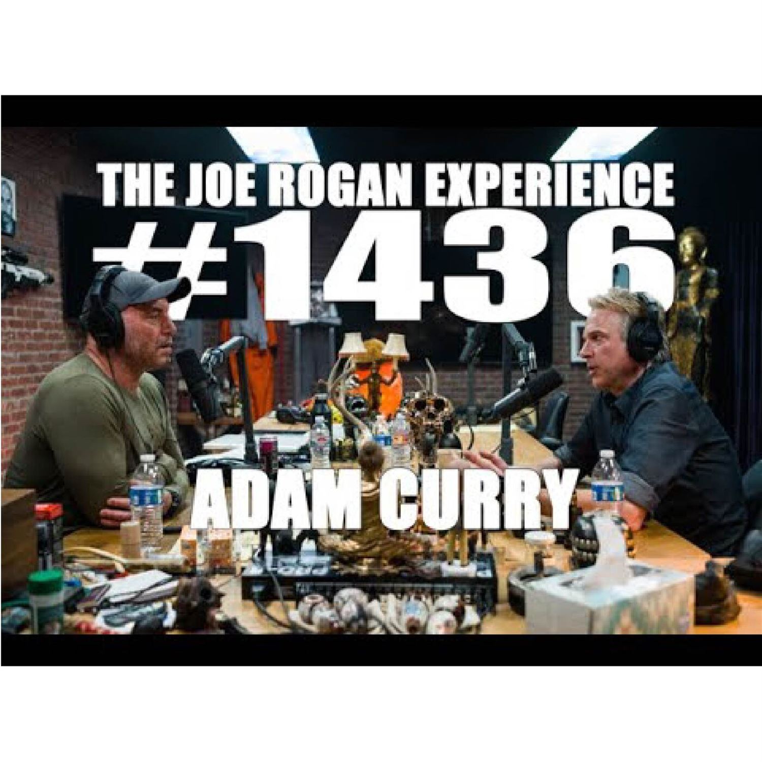 My introduction to Adam through JRE