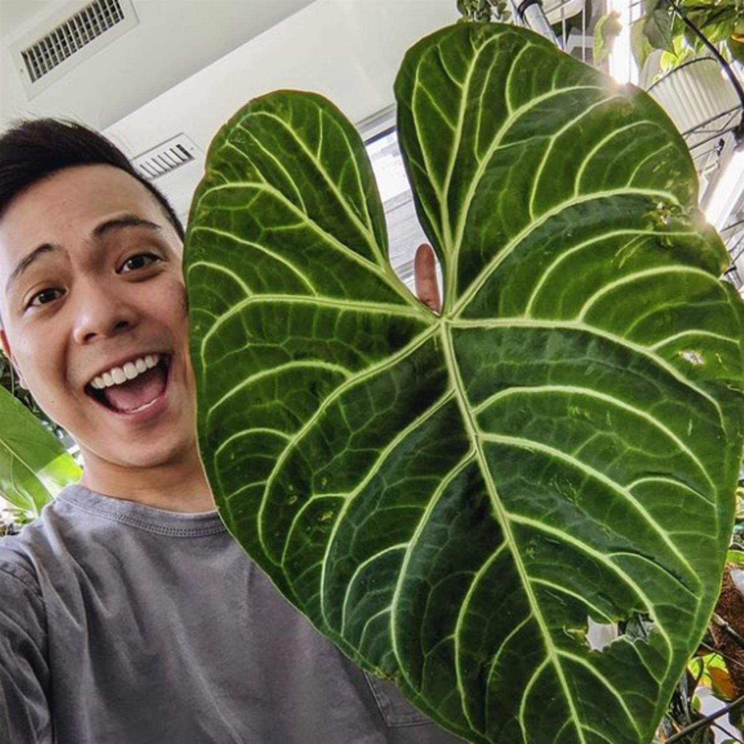 Rare house plant YouTubers are girls and camp gay men