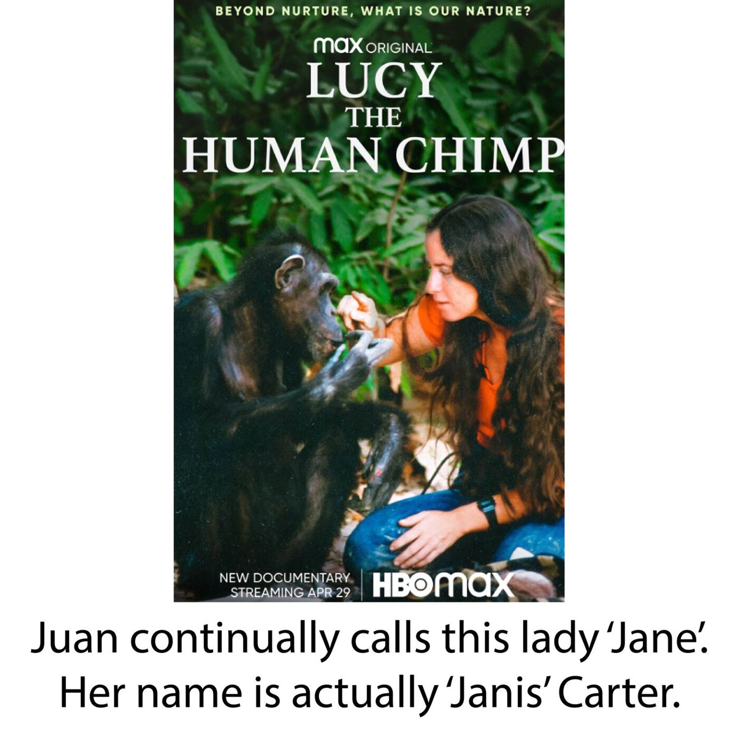 Lucy The Human Chimp documentary