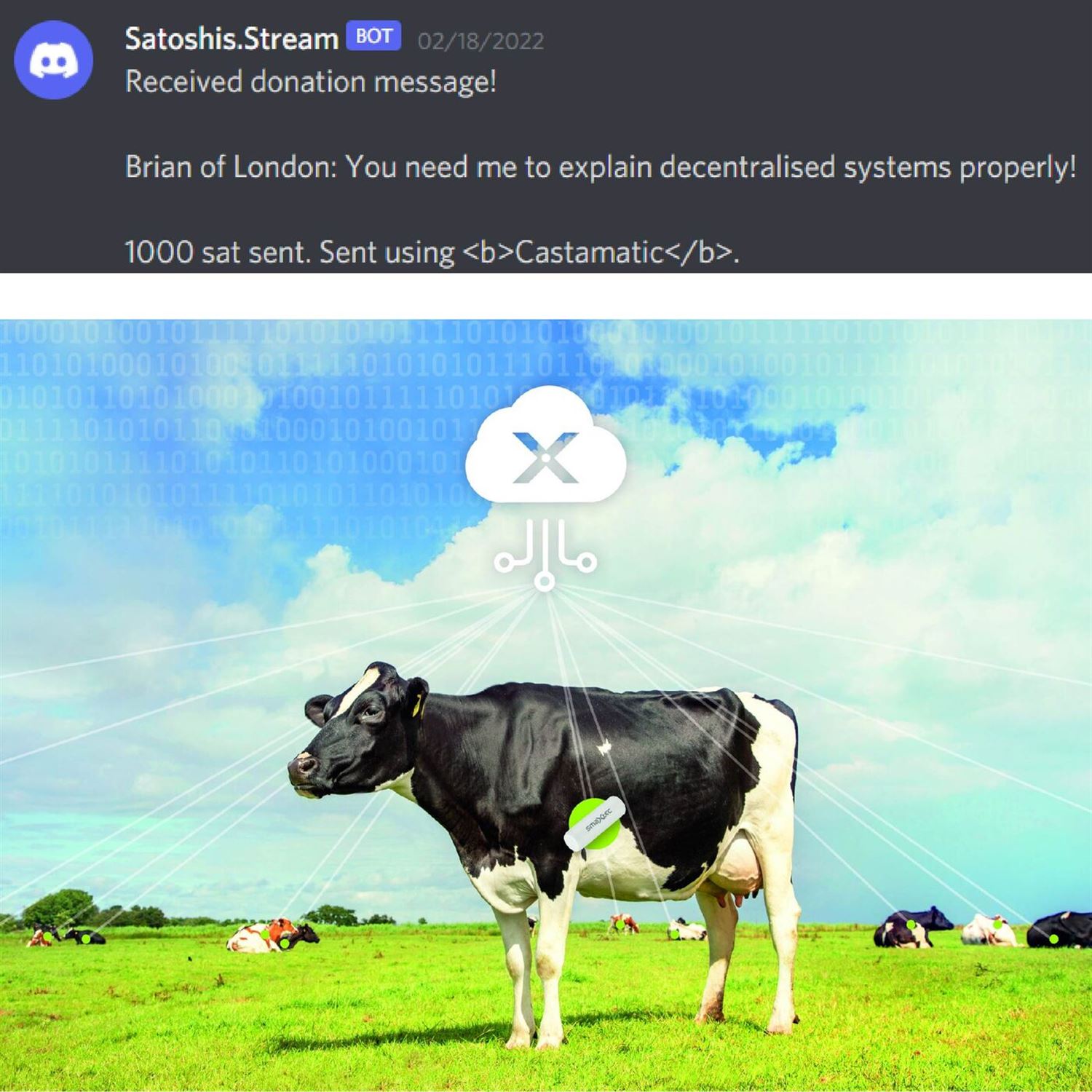 Different web versions are cows analogy