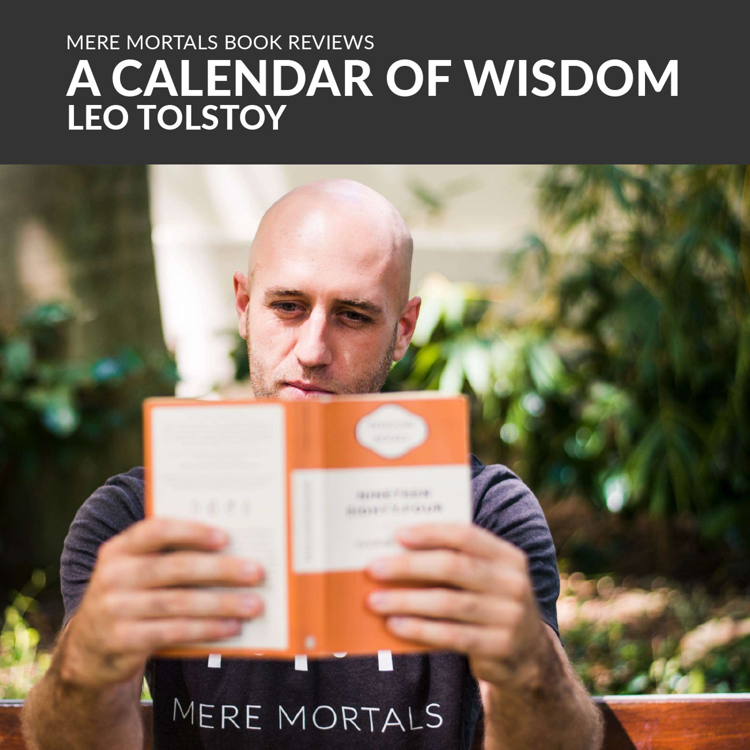 Daily Thoughts To Nourish The Soul | A Calendar Of Wisdom (Leo Tolstoy) BOOK REVIEW