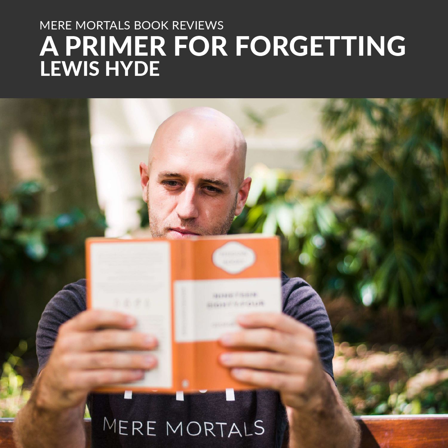 Small Snippets Of Counter-Wisdom | A Primer For Forgetting (Lewis Hyde) BOOK REVIEW
