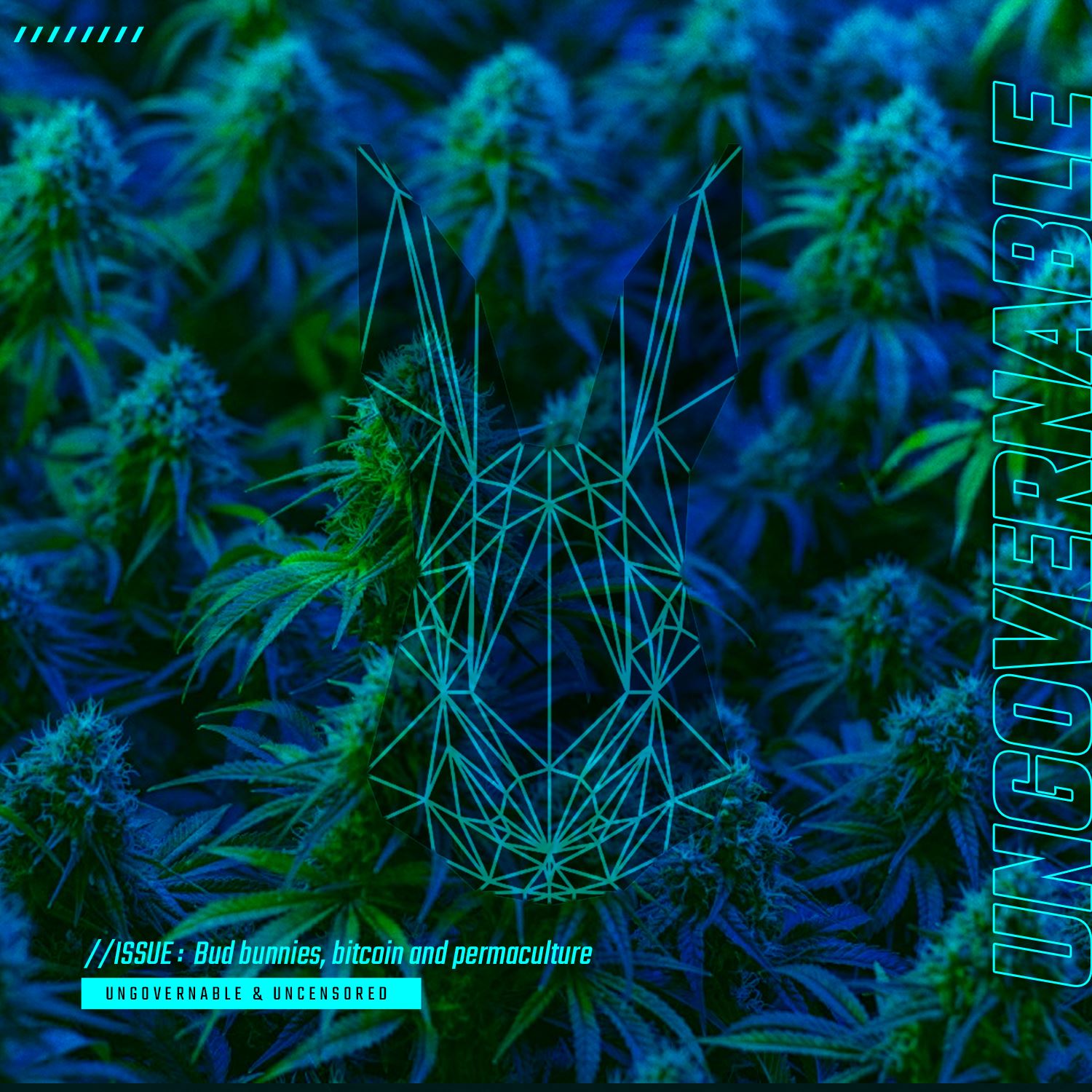 Bud bunnies, bitcoin and permaculture