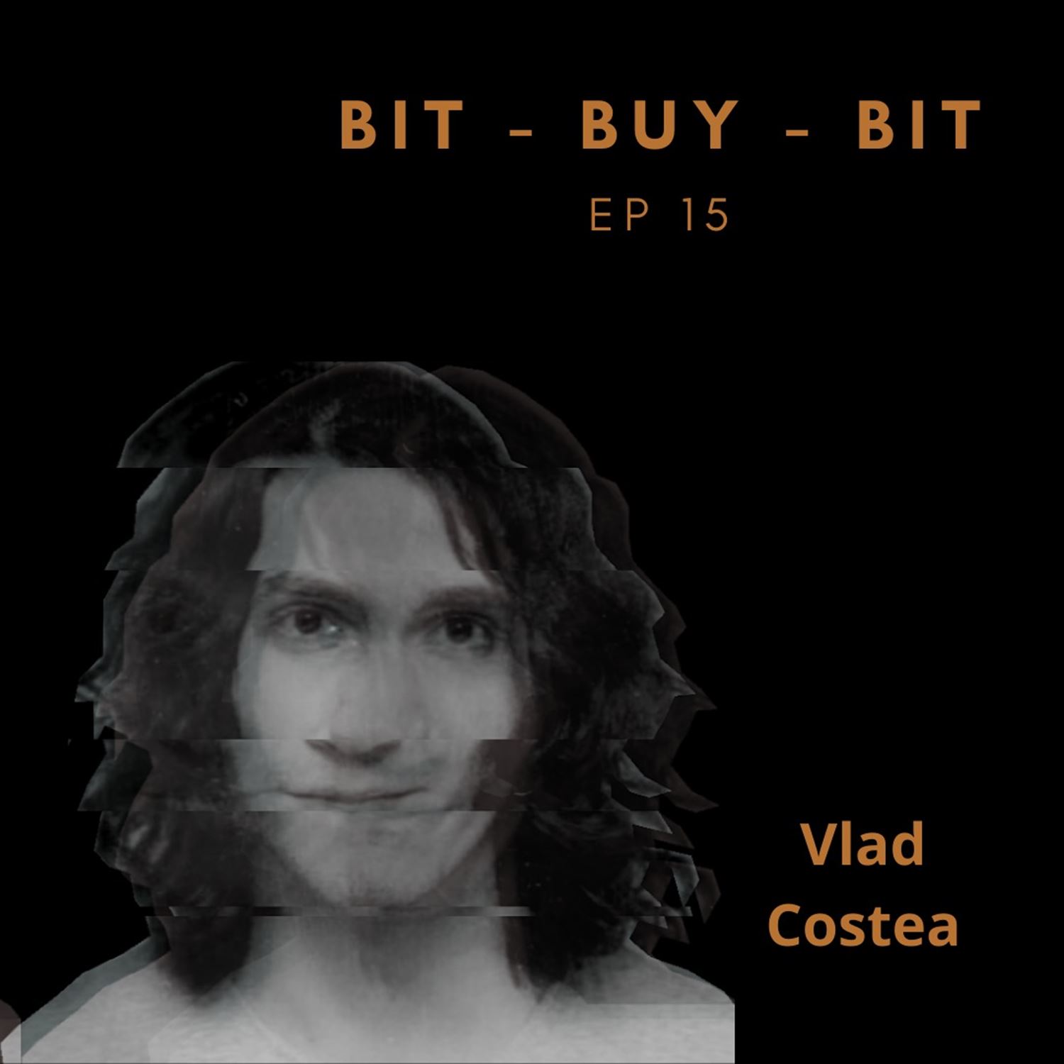 EP15 Bitcoin podcast with Vlad Costea. 