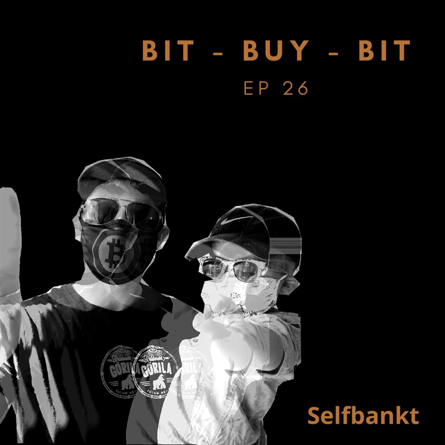 EP27 Bitcoin podcast with @selfbankt.