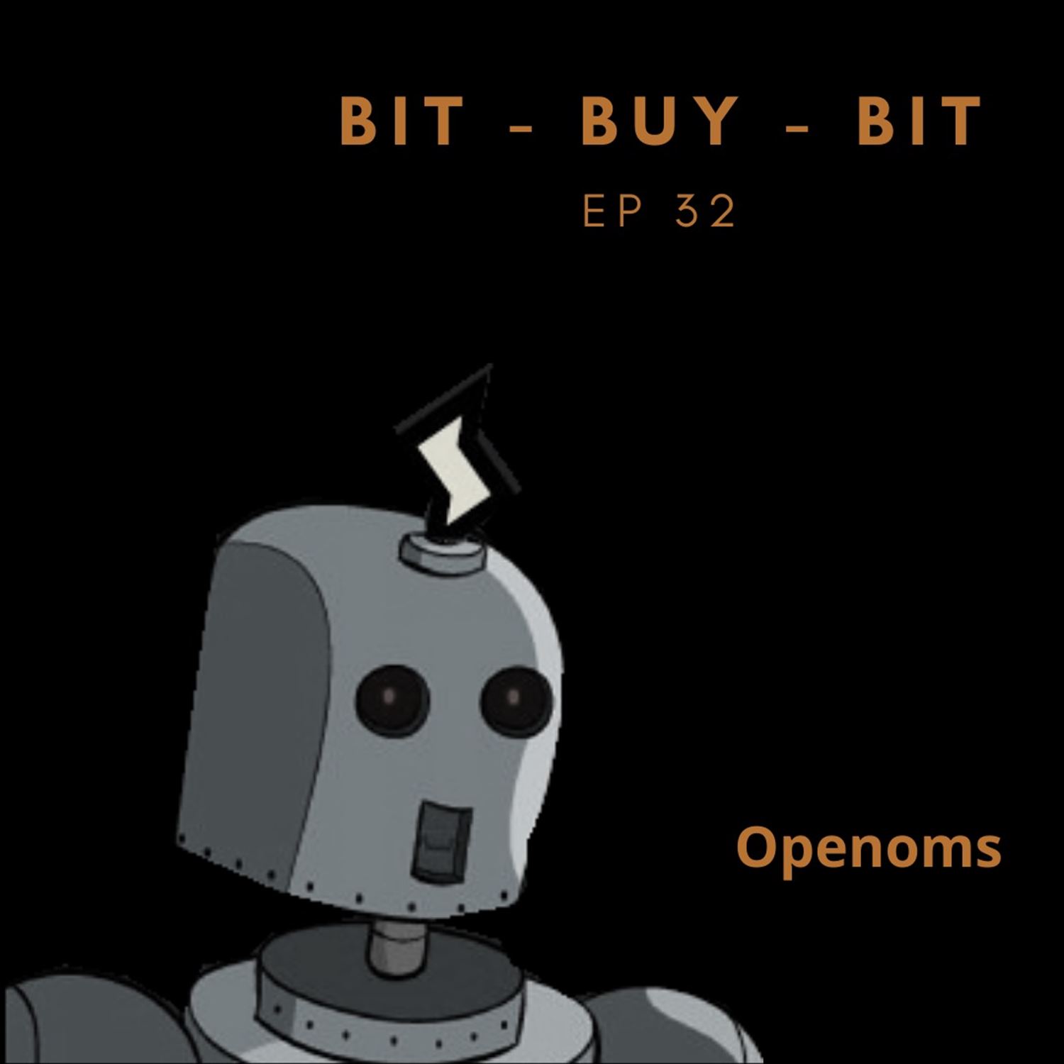 EP32 Bitcoin podcast with Openoms.