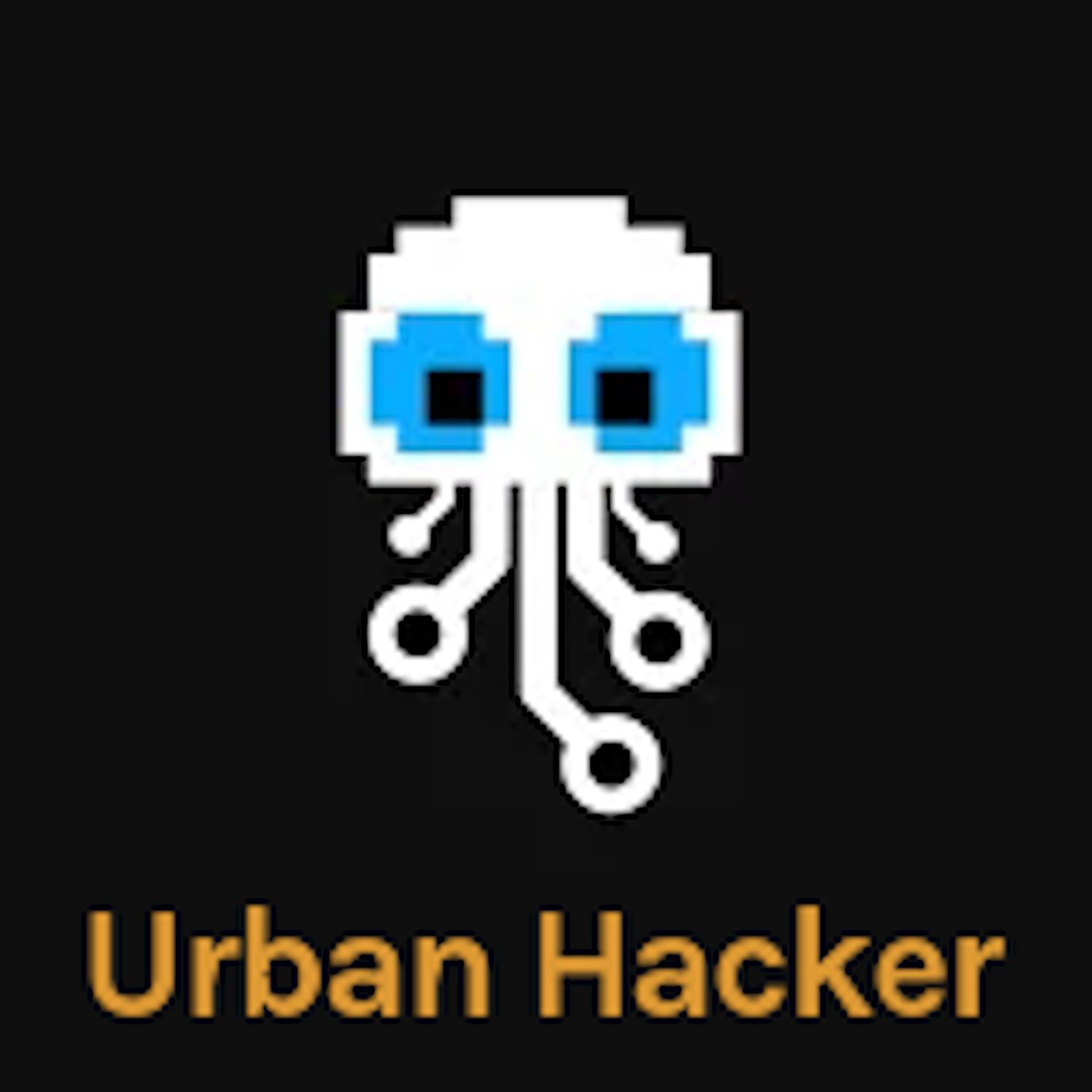 Urban Hacker: Privacy Consultant 📞