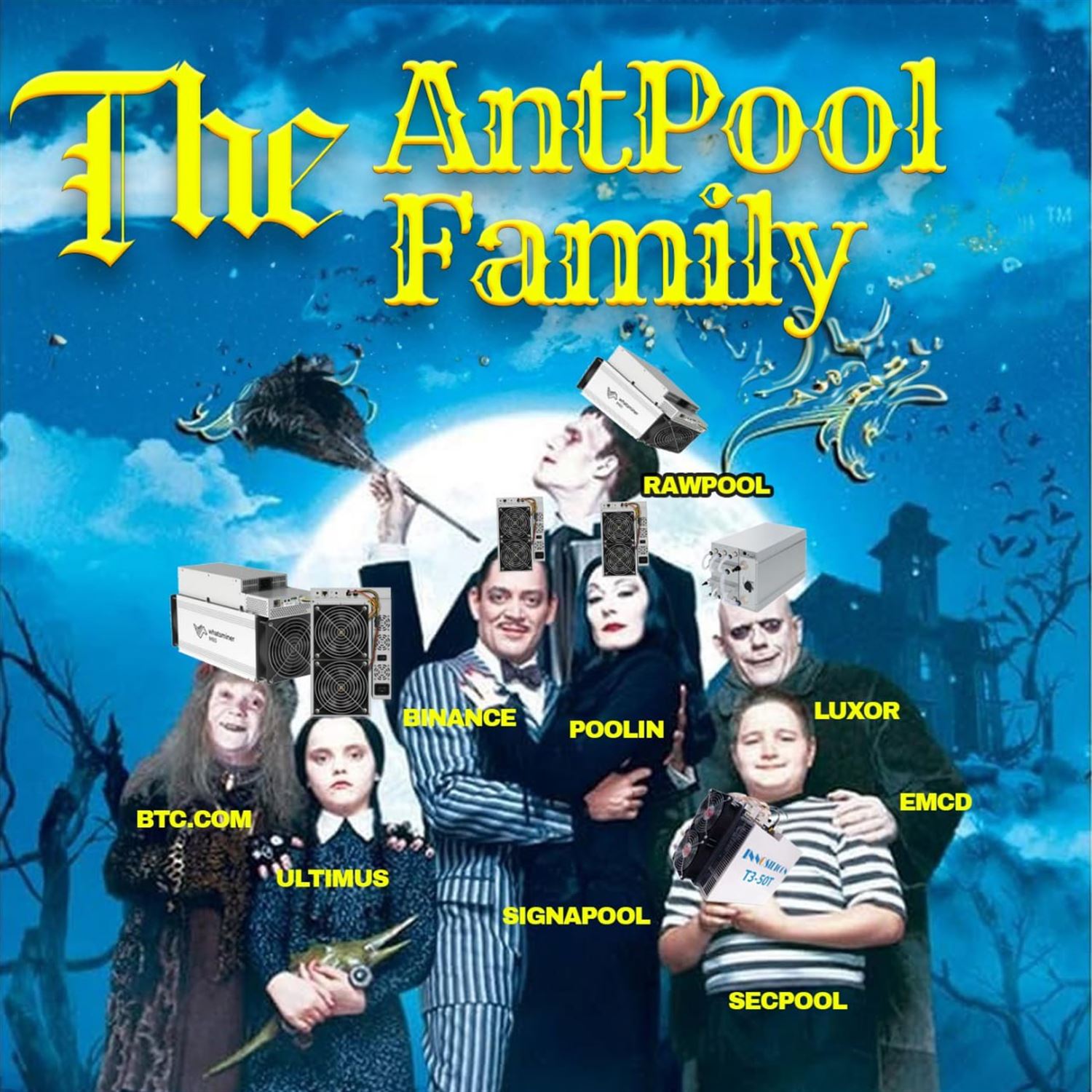 The Antpool Family