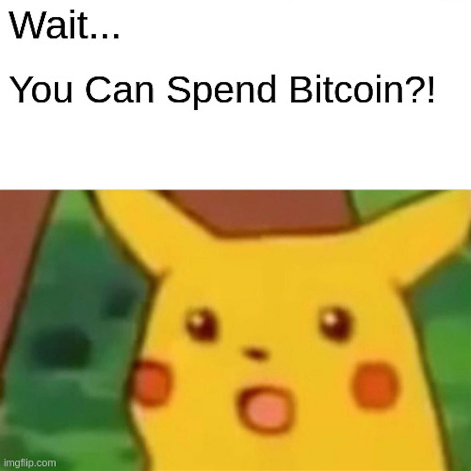 You Can Spend Bitcoin?!