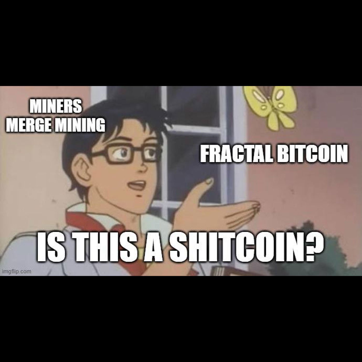 Are You a Shitcoiner?