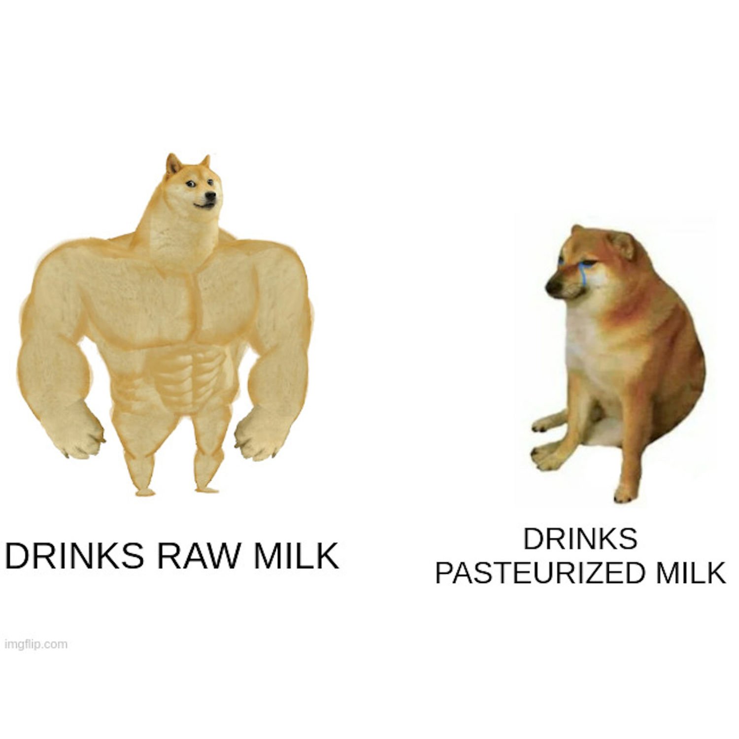 The Nutritional Superiority of Raw Milk