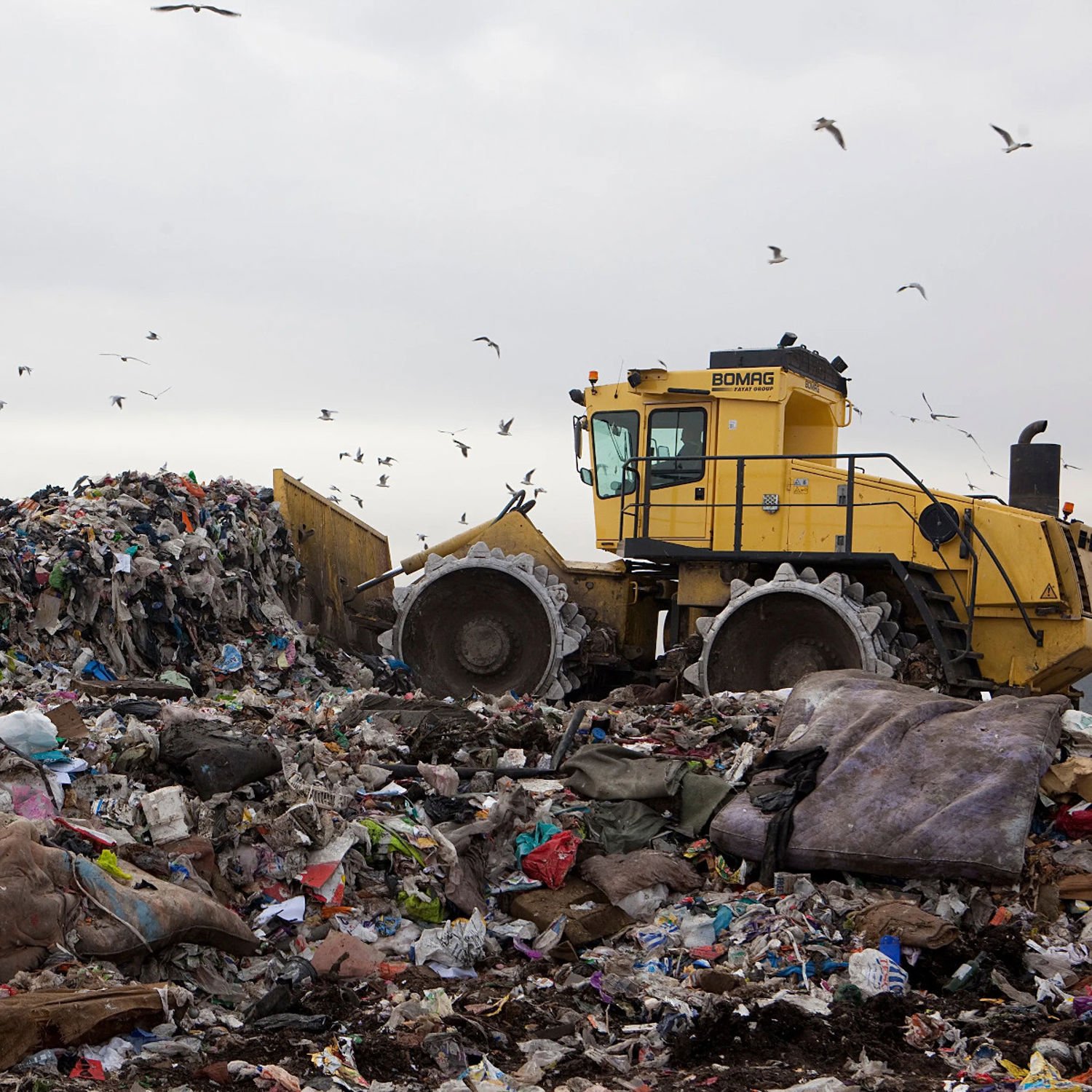 Bitcoin Landfill Case Dismissed