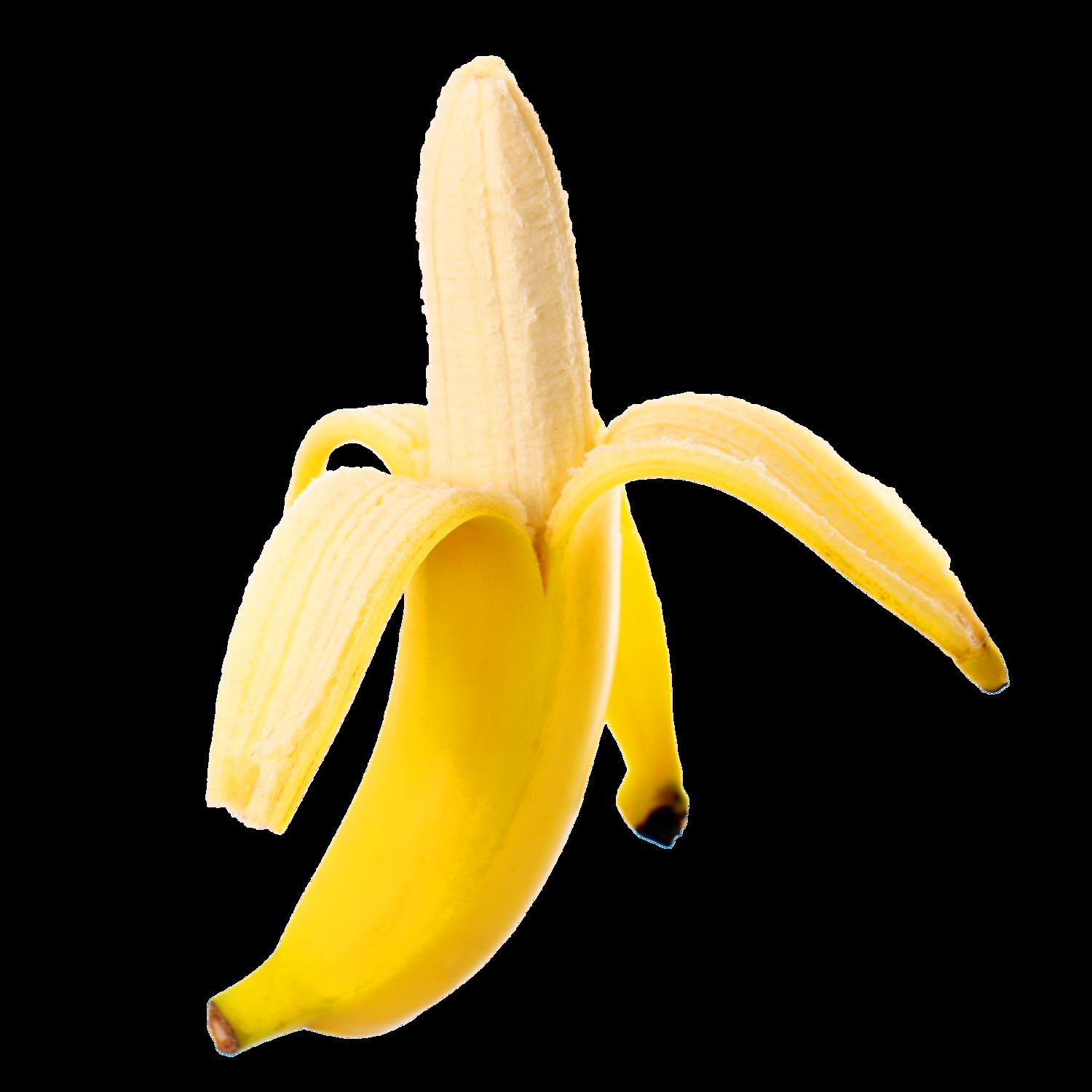 Dig Bick