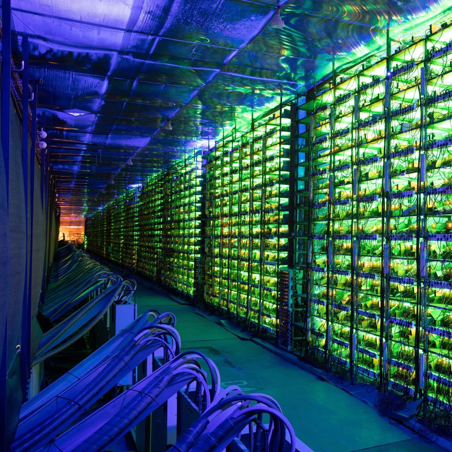 Moar Mines | PLEB MINER IN THE WILD